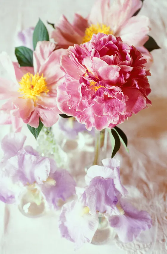 Chateau de Rossignière photographed by Guy Hervais